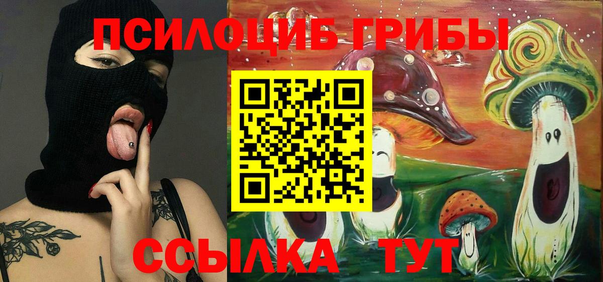 Галлюциногенные грибы GOLDEN TEACHER  Вход с VPN  Аксай  Псилоцибиновые грибы Psilocybe 